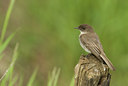 BUITEN BEELD Foto: 61138