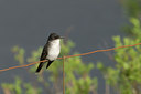 BUITEN BEELD Foto: 61141