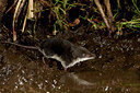 BUITEN BEELD Foto: 61252