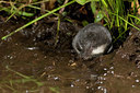 BUITEN BEELD Foto: 61262