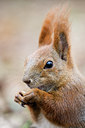 BUITEN BEELD Foto: 61363