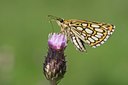 BUITEN BEELD Foto: 61372