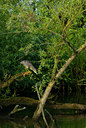 BUITEN BEELD Foto: 61399