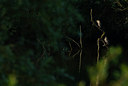 BUITEN BEELD Foto: 61407