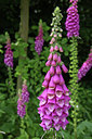 BUITEN BEELD Foto: 61447