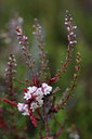 BUITEN BEELD Foto: 61448