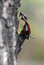 BUITEN BEELD Foto: 61465