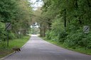 BUITEN BEELD Foto: 61483