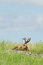 BUITEN BEELD Foto: 61485