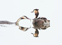 BUITEN BEELD Foto: 61520