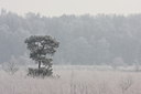 BUITEN BEELD Foto: 61544
