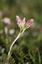BUITEN BEELD Foto: 61552