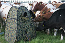 BUITEN BEELD Foto: 61582