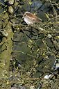 BUITEN BEELD Foto: 61590