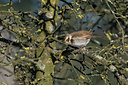 BUITEN BEELD Foto: 61591