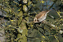 BUITEN BEELD Foto: 61592
