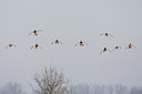 BUITEN BEELD Foto: 61600