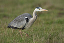 BUITEN BEELD Foto: 61614