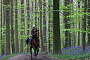 BUITEN BEELD Foto: 61656