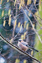 BUITEN BEELD Foto: 61683