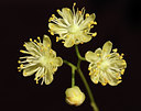 BUITEN BEELD Foto: 61727