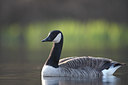 BUITEN BEELD Foto: 61740