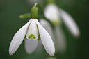 BUITEN BEELD Foto: 61838