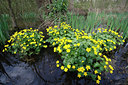 BUITEN BEELD Foto: 61843