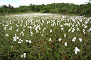 BUITEN BEELD Foto: 61865