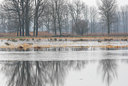 BUITEN BEELD Foto: 61903