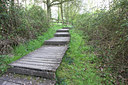BUITEN BEELD Foto: 61919
