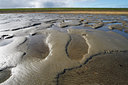 BUITEN BEELD Foto: 61924
