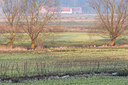BUITEN BEELD Foto: 61933