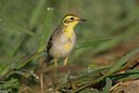 BUITEN BEELD Foto: 61962