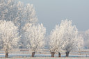 BUITEN BEELD Foto: 61965