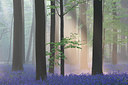 BUITEN BEELD Foto: 61970