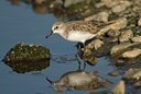 BUITEN BEELD Foto: 62002