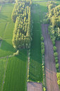 BUITEN BEELD Foto: 62019