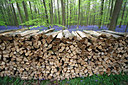 BUITEN BEELD Foto: 62083