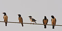 BUITEN BEELD Foto: 62102