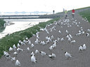 BUITEN BEELD Foto: 62167