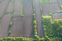 BUITEN BEELD Foto: 62180