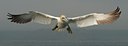BUITEN BEELD Foto: 62220