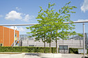 BUITEN BEELD Foto: 62229