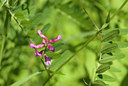 BUITEN BEELD Foto: 62237