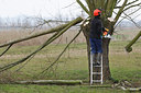 BUITEN BEELD Foto: 62239