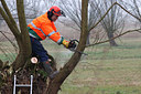 BUITEN BEELD Foto: 62246