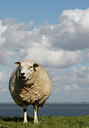 BUITEN BEELD Foto: 62279