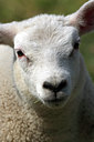 BUITEN BEELD Foto: 62286