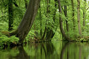 BUITEN BEELD Foto: 62335